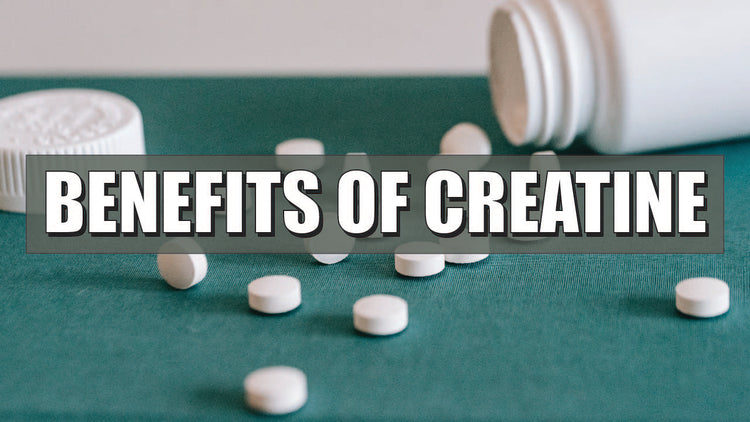 Benefits Of Creatine For Athletes – Sprinting Workouts | The Sprinting ...