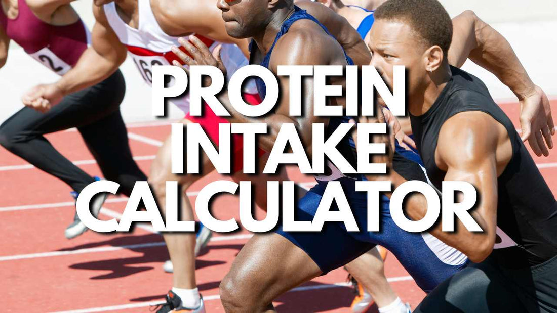 Protein Intake Calculator For Athletes & Sprinters